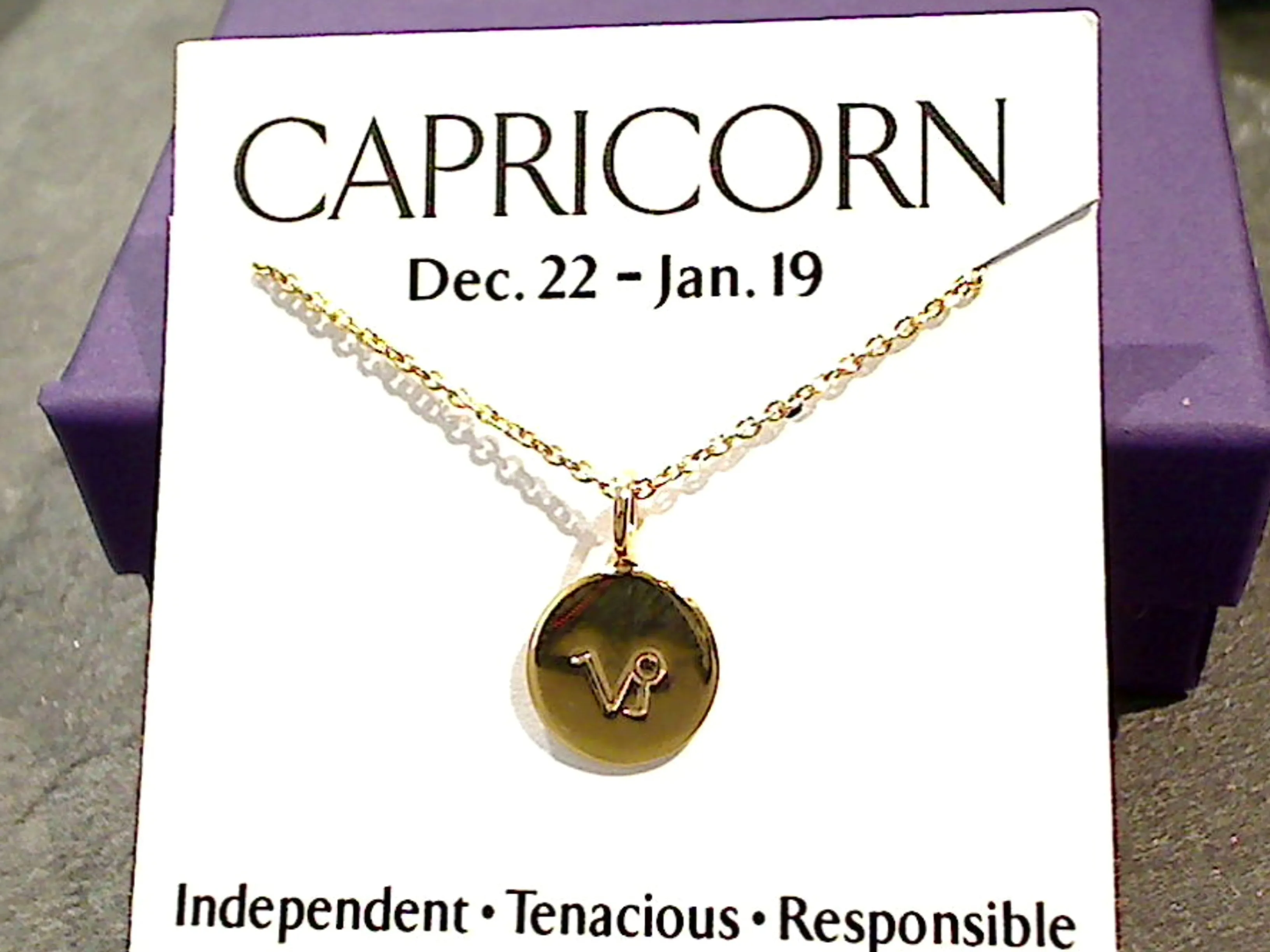 16" - 18" Gold Plated Sterling Capricorn Zodiac Necklace